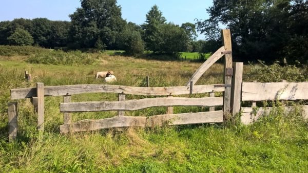 Glamping in Overijssel